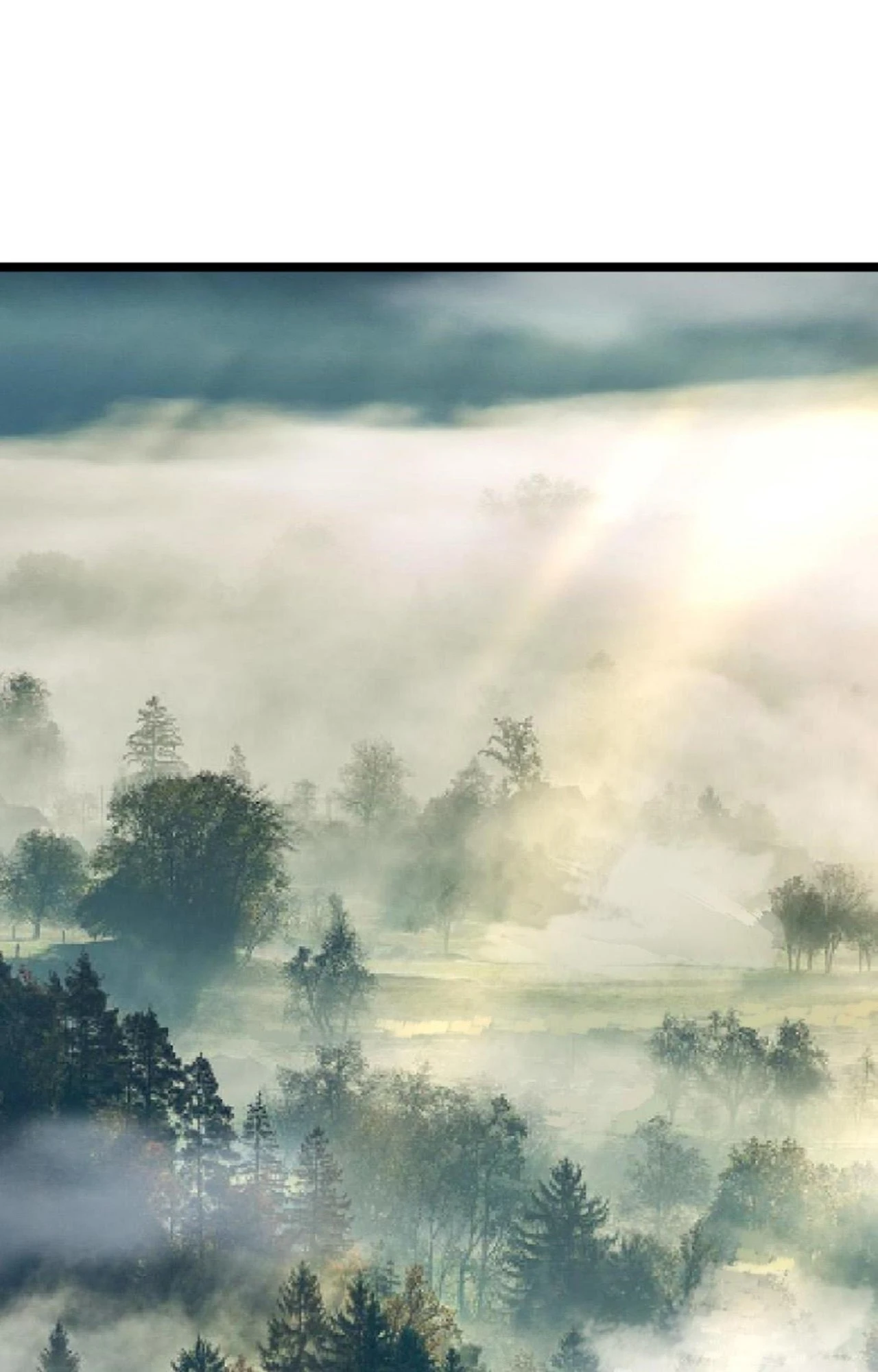 Manga Oku - Evolution Begins with a Big Tree Bölüm 19