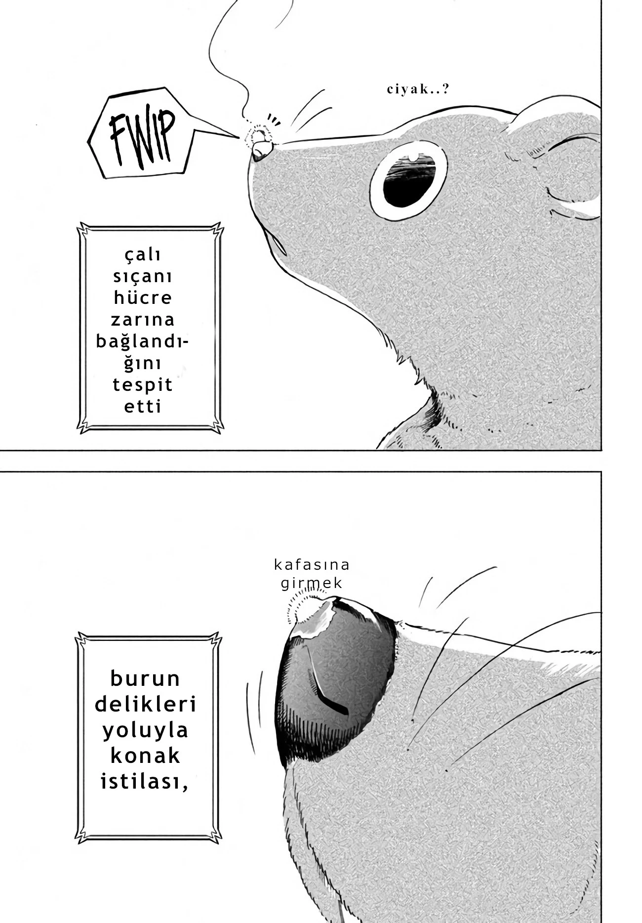 Manga Oku - VIRÜS TENSEI KARA ISEKAI KANSEN MONOGATARI (2021) Bölüm 1